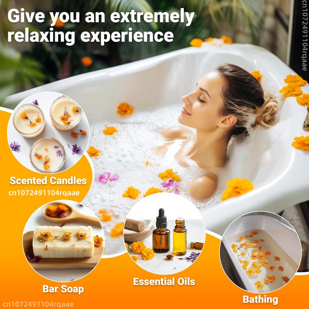 Natural Dried Marigold Flowers - Chamomile Tea ulasan dan harga