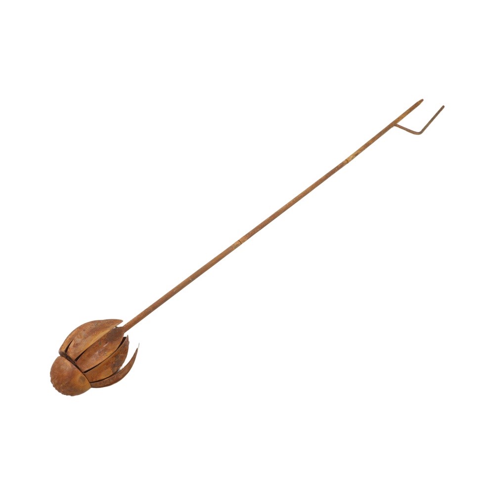 Metal Garden Stake Featuring E - Echinacea ulasan dan harga