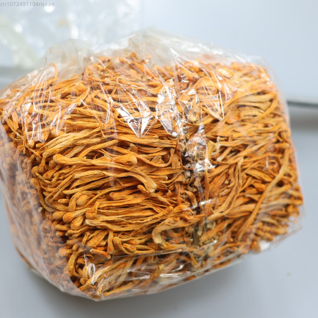 250g/500g Premium Natural Drie - Chamomile Tea ulasan dan harga