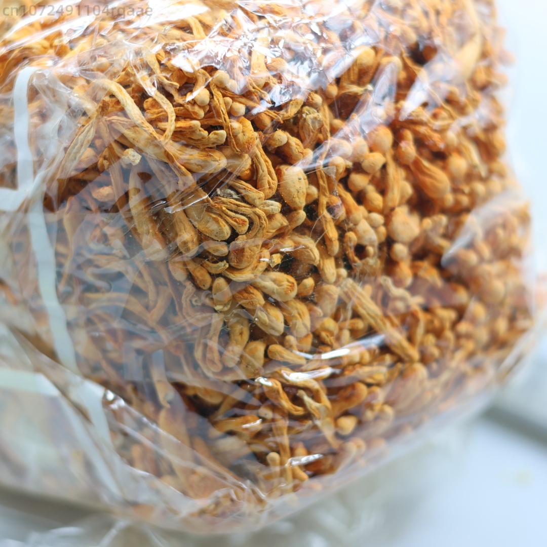 250g/500g Premium Natural Drie - Chamomile Tea ulasan dan harga
