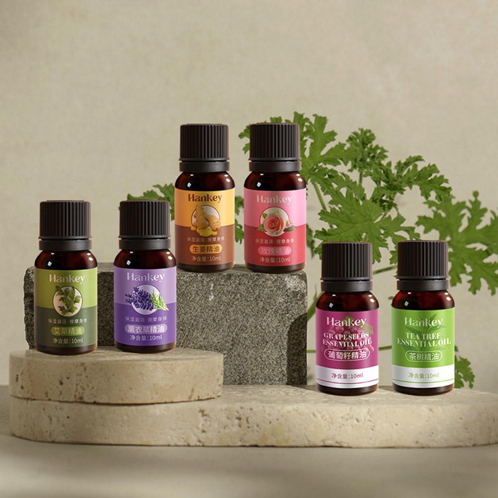10ml Grape Seed, Mugwort, Lave - Lavender Oil ulasan dan harga