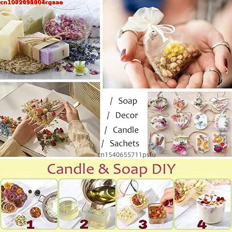 Quality Witch Beginner Natural - Chamomile Tea ulasan dan harga